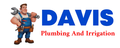 Trusted plumber in FORESTVILLE